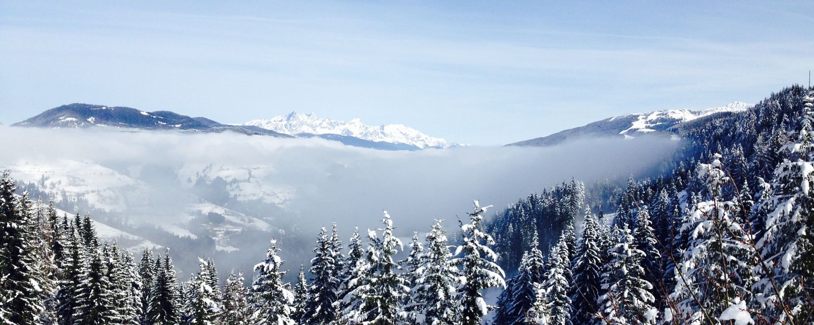 Snow-covered winter forest in Austria